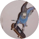 Francisco José Prada Charry profile picture