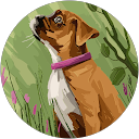 jorge Valero profile picture