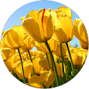 Javier Diaz profile picture