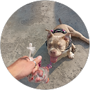 David Peña profile picture