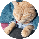 Andres PG profile picture