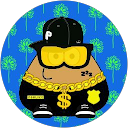 Juan Manuel Segura Guatibonza profile picture