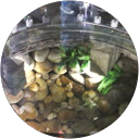 Oscar Gomez profile picture