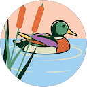 Carmen Moreno profile picture